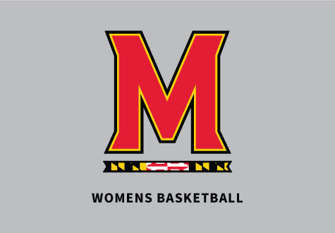 Womens Basketball Logo Grey