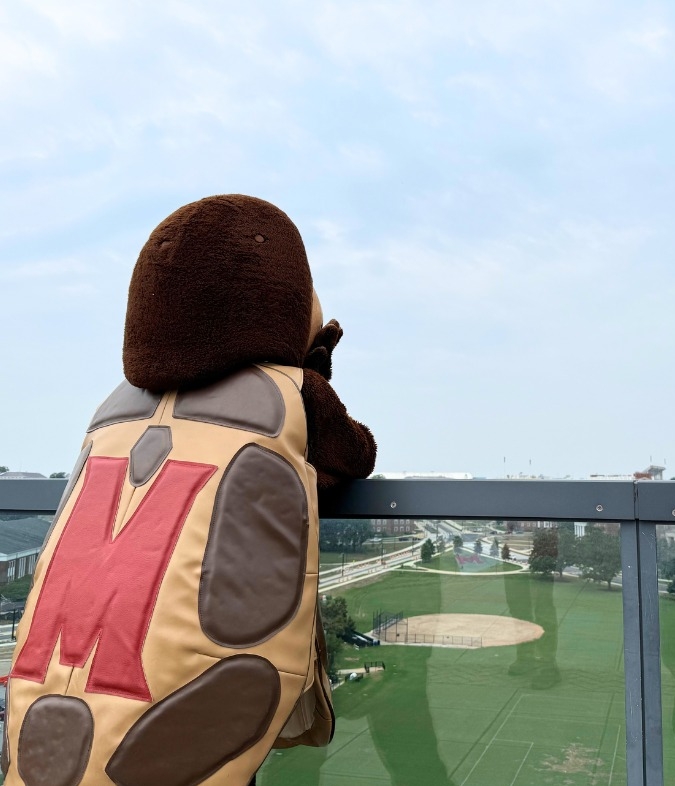 UMD Mascot